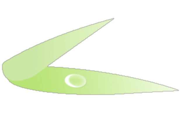 ͼƬ